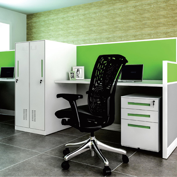 鋼制薄邊文件柜 鋼制薄邊文件柜